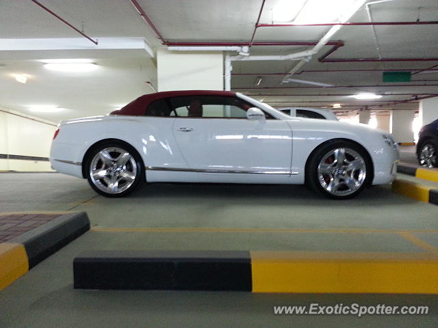 Bentley Continental spotted in Dubai, United Arab Emirates