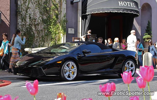 Lamborghini Gallardo spotted in San Jose, California