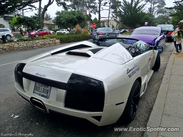 Lamborghini Murcielago spotted in Carmel, California