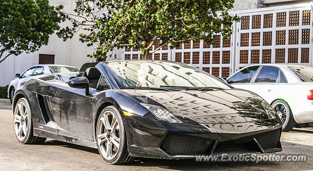 Lamborghini Gallardo spotted in Miami, Florida