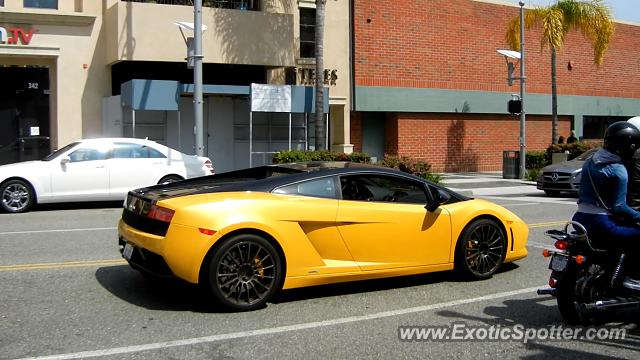 Lamborghini Gallardo spotted in Beverly Hills, California