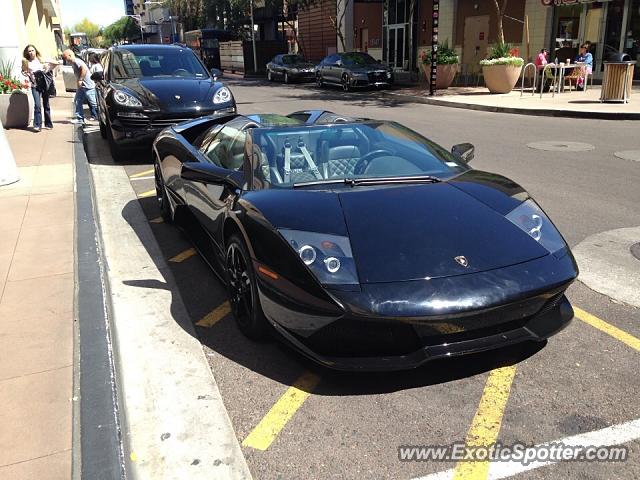 Lamborghini Murcielago spotted in Scottsdale, Arizona