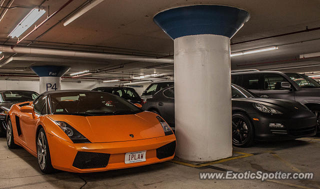 Lamborghini Gallardo spotted in Boston, Massachusetts