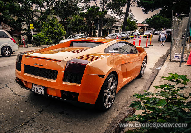 Lamborghini Gallardo spotted in Carmel, California