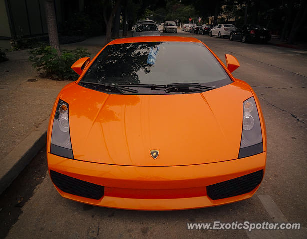 Lamborghini Gallardo spotted in Carmel, California