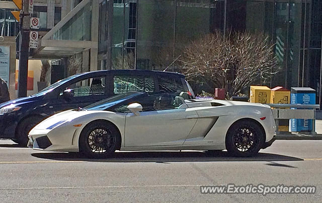 Lamborghini Gallardo spotted in Toronto, Canada