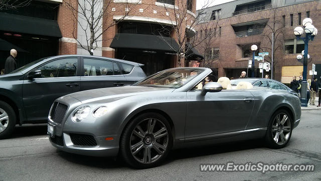 Bentley Continental spotted in Toronto, Canada