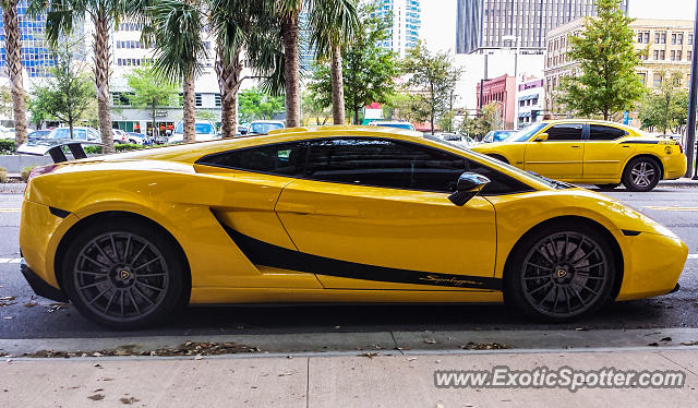 Lamborghini Gallardo spotted in Tampa, Florida