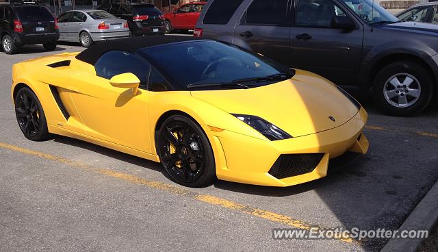 Lamborghini Gallardo spotted in Woodbridge, Canada