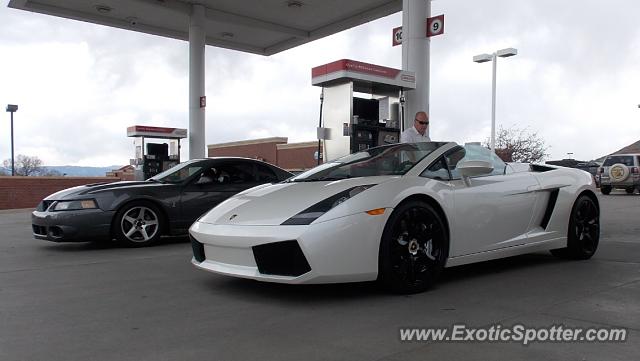 Lamborghini Gallardo spotted in Castle rock, Colorado