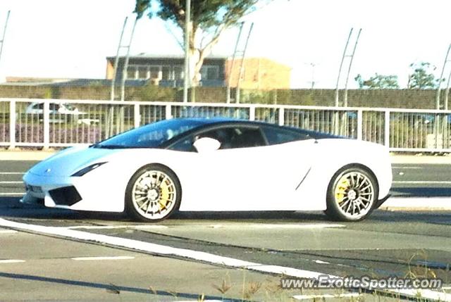 Lamborghini Gallardo spotted in Sydney, Australia