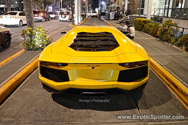 Lamborghini Aventador spotted in Ciudad de México, Mexico