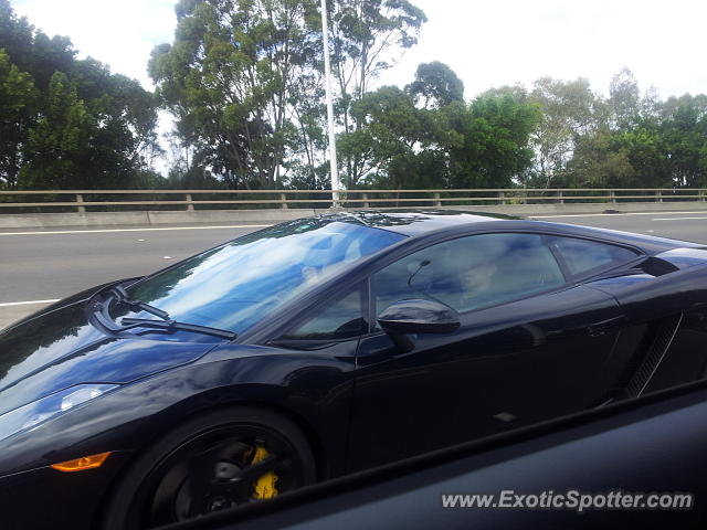 Lamborghini Gallardo spotted in Sydney, Australia