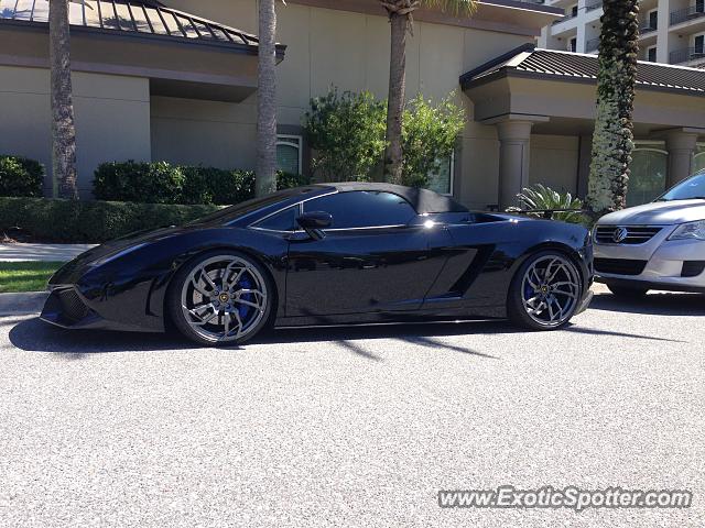 Lamborghini Gallardo spotted in Jacksonville, Florida