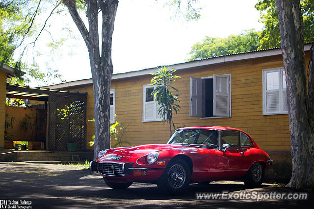 Jaguar E-Type spotted in Brasilia, Brazil