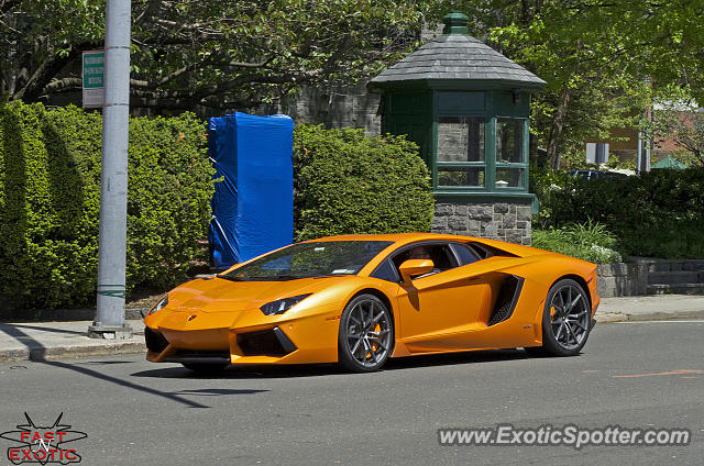 Lamborghini Aventador spotted in Greenwich, Connecticut