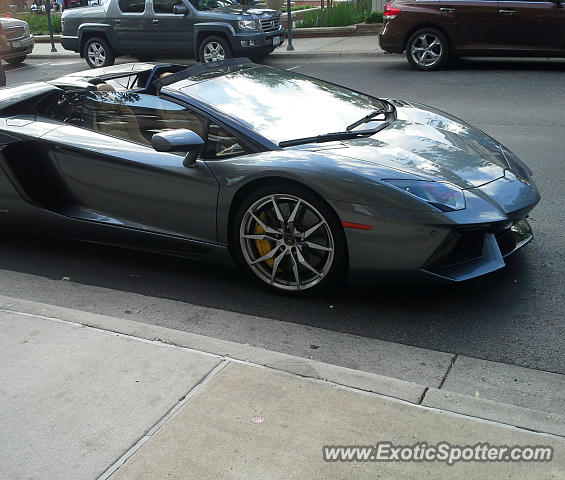 Lamborghini Aventador spotted in The Woodlands, Texas