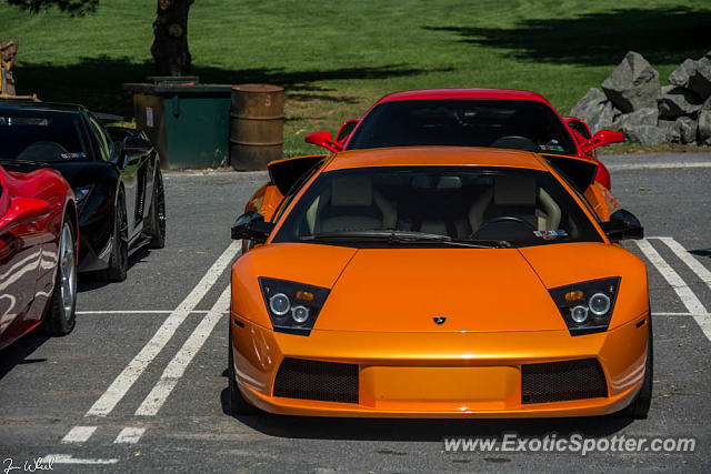 Lamborghini Murcielago spotted in Reading, Pennsylvania