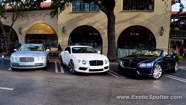 Bentley Continental spotted in Dallas, Texas