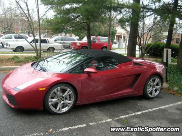 Lamborghini Gallardo spotted in Woodbridge, Virginia