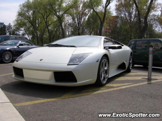 Lamborghini Murcielago spotted in Constanta, Romania