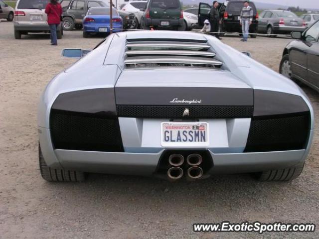 Lamborghini Murcielago spotted in Seattle, Washington