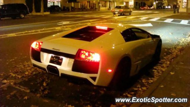 Lamborghini Murcielago spotted in Sonoma, California