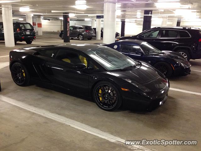 Lamborghini Gallardo spotted in Arlington, Virginia