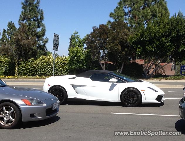 Lamborghini Gallardo spotted in San Diego, California