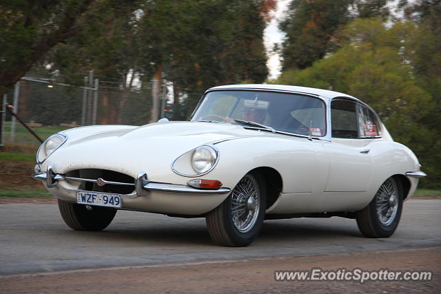 Jaguar E-Type spotted in Winton, Australia