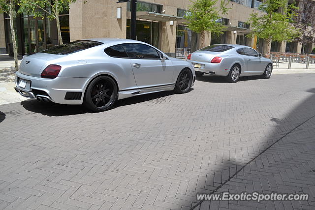 Bentley Continental spotted in Salt Lake City, Utah