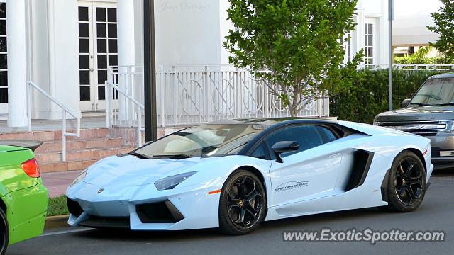 Lamborghini Aventador spotted in Miami, Florida