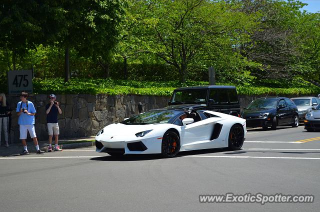 Lamborghini Aventador spotted in Greenwich, Connecticut