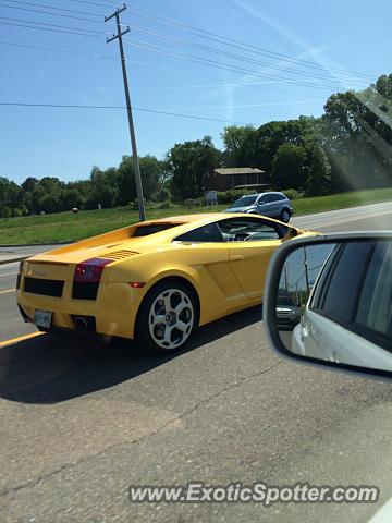 Lamborghini Gallardo spotted in Knoxville, Tennessee