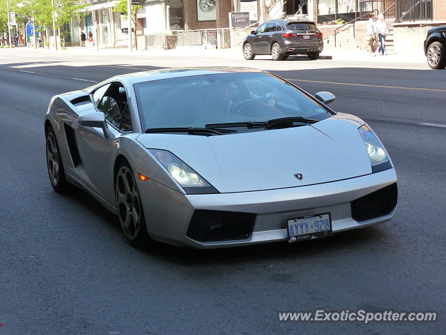 Lamborghini Gallardo spotted in Toronto, Canada