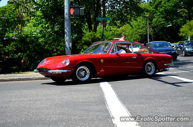 Ferrari 365 GT spotted in Greenwich, Connecticut