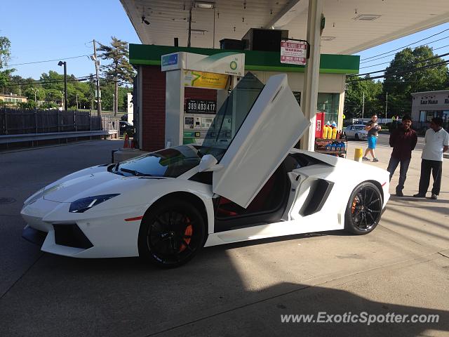 Lamborghini Aventador spotted in Roslyn, New York