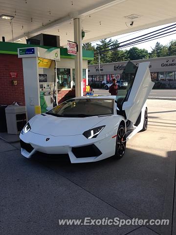 Lamborghini Aventador spotted in Roslyn, New York