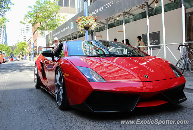 Lamborghini Gallardo spotted in Toronto, Canada