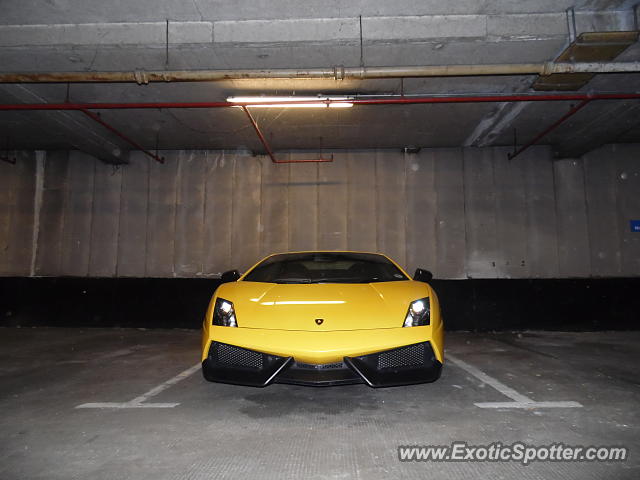 Lamborghini Gallardo spotted in London, United Kingdom