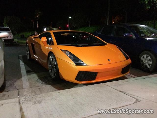 Lamborghini Gallardo spotted in Kihei, Hawaii