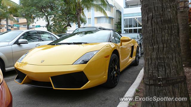 Lamborghini Gallardo spotted in Miami, Florida