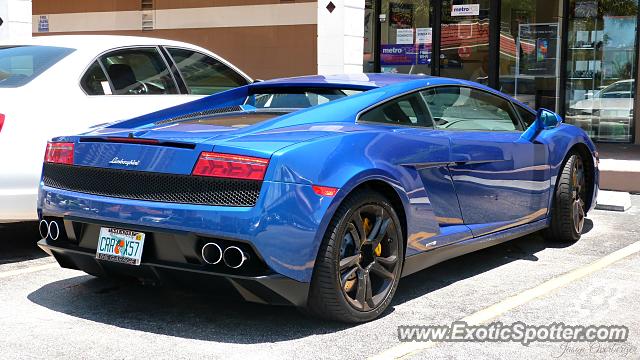 Lamborghini Gallardo spotted in Miami, Florida
