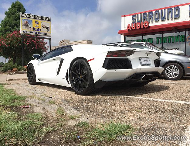 Lamborghini Aventador spotted in Dallas, Texas