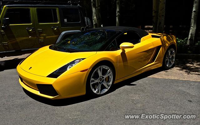 Lamborghini Gallardo spotted in Edwards, Colorado