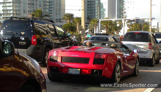 Lamborghini Gallardo spotted in Miami, Florida