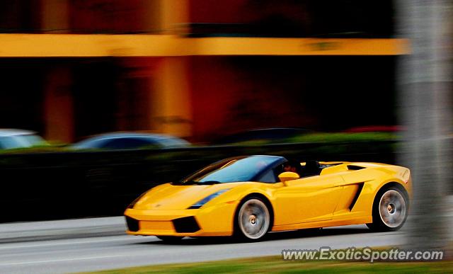 Lamborghini Gallardo spotted in Fort Lauderdale, Florida