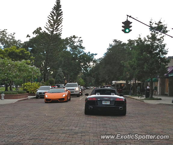 Lamborghini Gallardo spotted in Winter Park, Florida