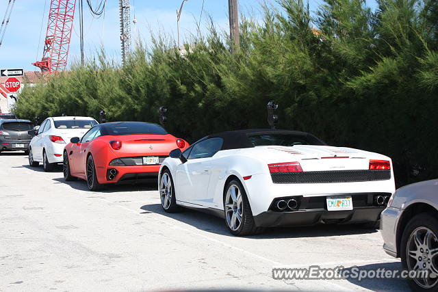 Lamborghini Gallardo spotted in Miami, Florida