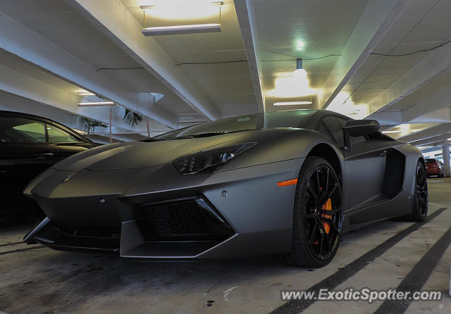 Lamborghini Aventador spotted in Bal Harbour, Florida